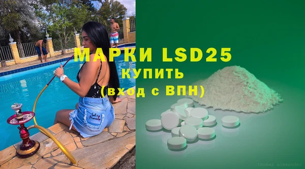 ПСИЛОЦИБИНОВЫЕ ГРИБЫ Баксан
