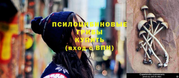МДПВ Балахна