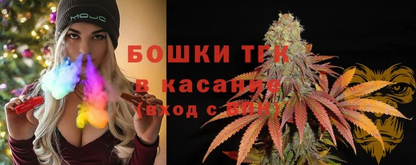 ПСИЛОЦИБИНОВЫЕ ГРИБЫ Баксан