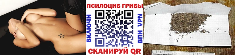 Галлюциногенные грибы прущие грибы  продажа наркотиков  Венёв 